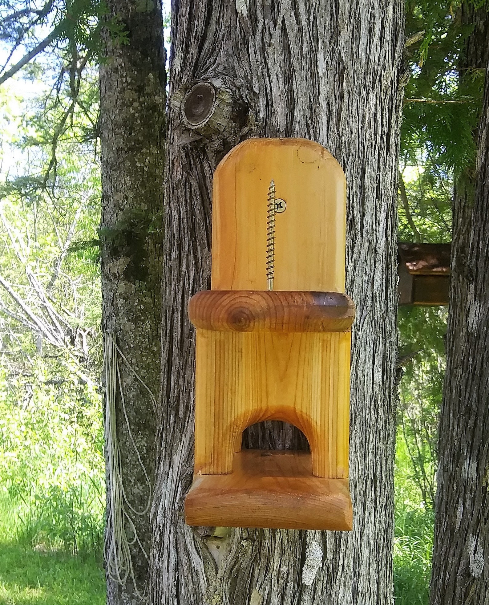 Corn Cob Squirrel Feeder Cedar Wood TBNUP 1 Etsy