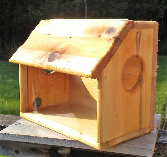 Large Fence Or Tree Mount See Through Squirrel Feeder Cedar Etsy