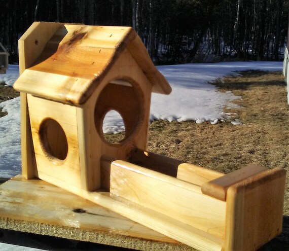 High Quality Gallon Glass Jar Squirrel Feeder Square Cedar Etsy
