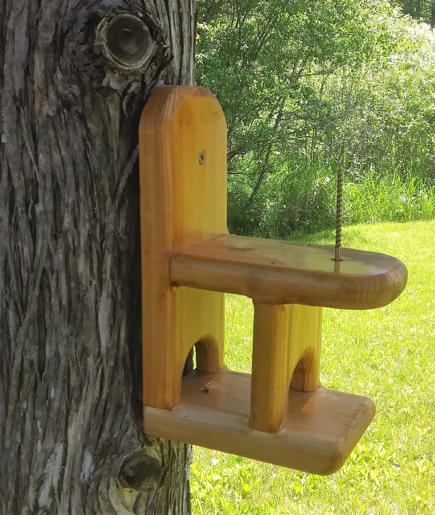 Cute Decorative Corn Cob Squirrel Feeder Cedar Wood Tbnup Etsy