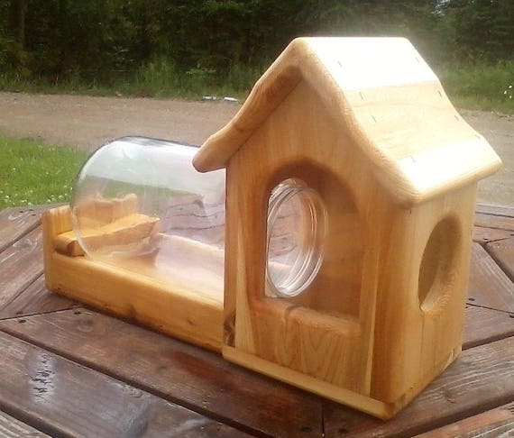 Fence Mount Gallon Glass Jar Squirrel Feeder Cedar Wood Tbnup Etsy