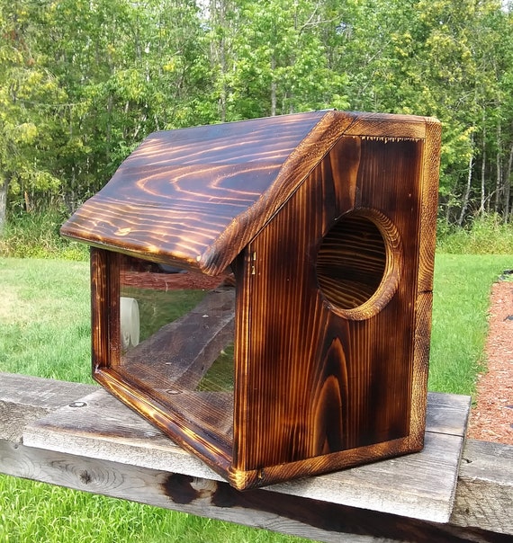 Large Fence Or Tree Mount See Through Squirrel Feeder Cedar Etsy