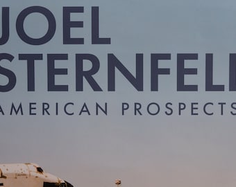 Joel Sternfeld, Original Exhibition Museum Poster - Etsy Canada