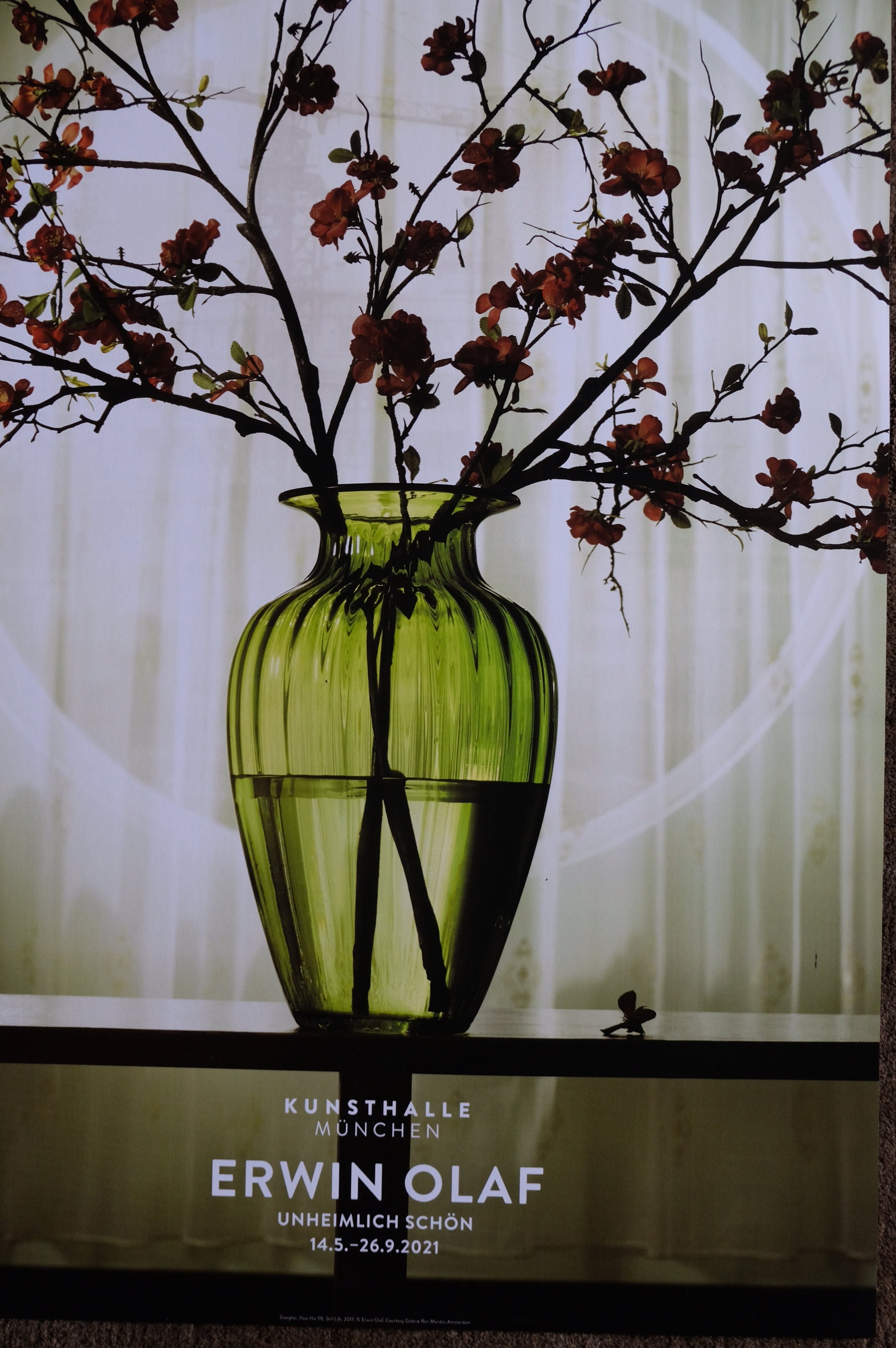 Erwin Olaf - Etsy