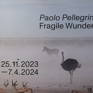Paolo Pellegrin "Frágil maravilla" |  cartel original de la exposición