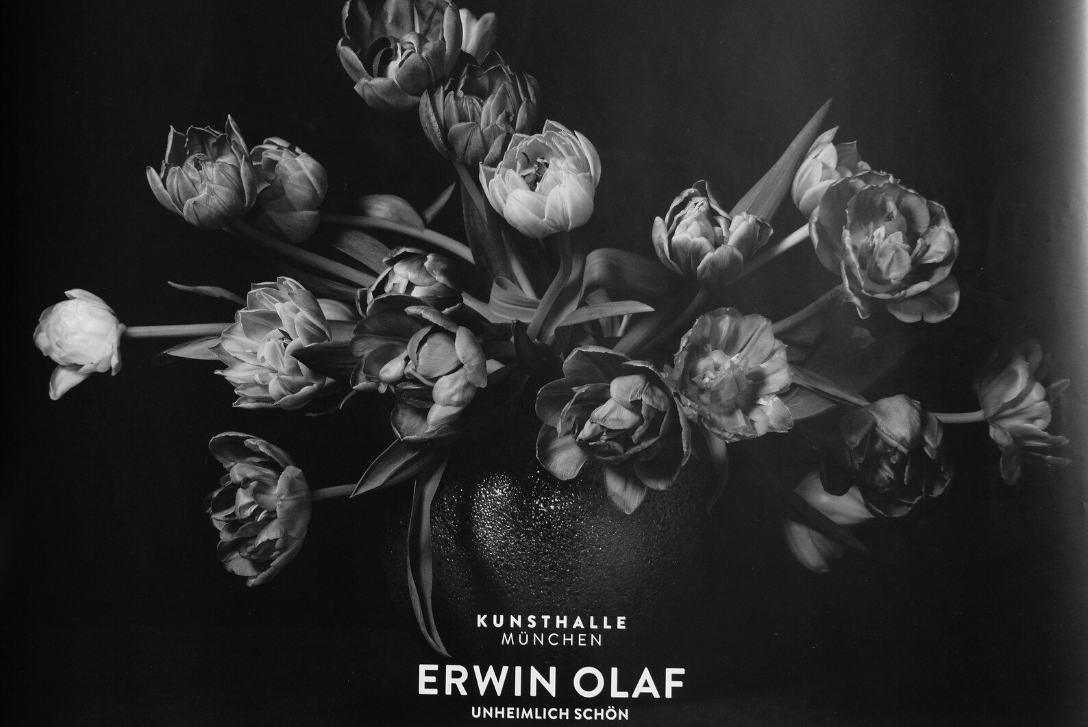 Erwin Olaf - Etsy