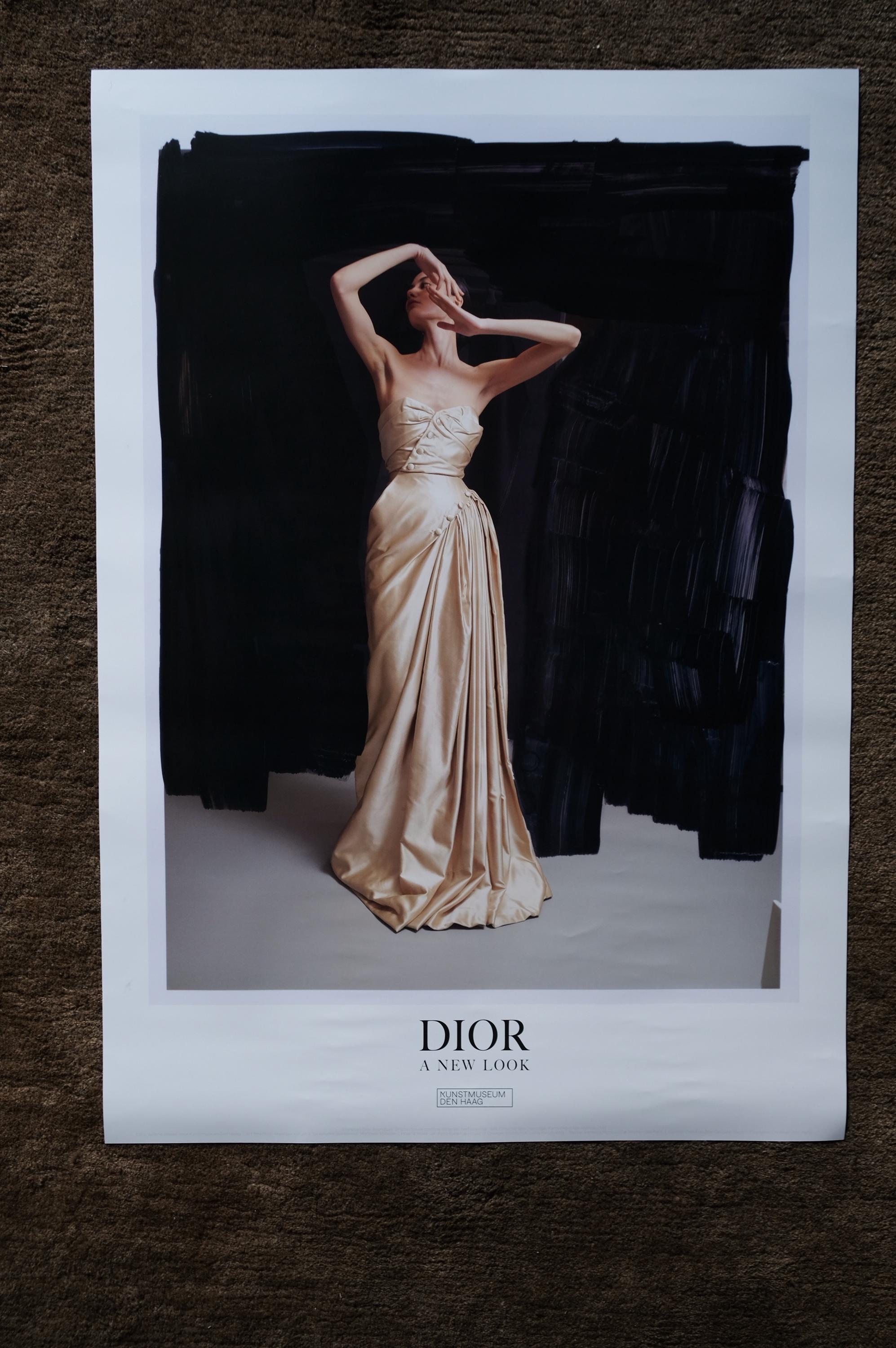 DIOR "a New Look" Kunstmuseum the Hague | Original Poster - Etsy