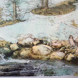May include: A watercolor and ink illustration depicting a small bird perched on light brown rocks beside a flowing stream. The scene features muted blue water, earthy tones, and trees in the background. The artist signature S. Fecho is visible.