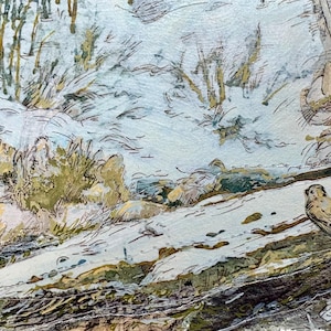 May include: A watercolor painting depicting a small brown bird perched on a light-colored log near a rocky stream. The scene features muted tones of blue, green, and brown with visible ink outlines. The artist's signature S. Fecher is in the corner.