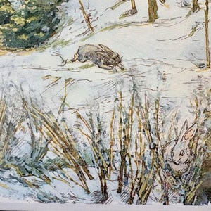 Rabbits, Snowy Landscape, Pond/ by Susan Fecho