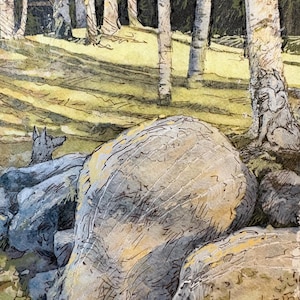 May include: A detailed ink and watercolor illustration depicting a forest scene with white birch trees, large grey rocks in the foreground, and two small canine figures. One canine is partially hidden behind a rock, while the other sits by a tree.