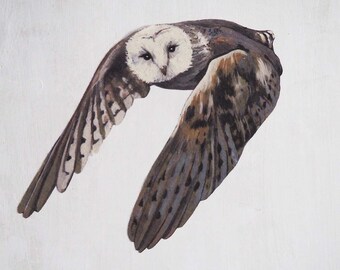 Owl Sticker, Large Night Bird Wall Decal