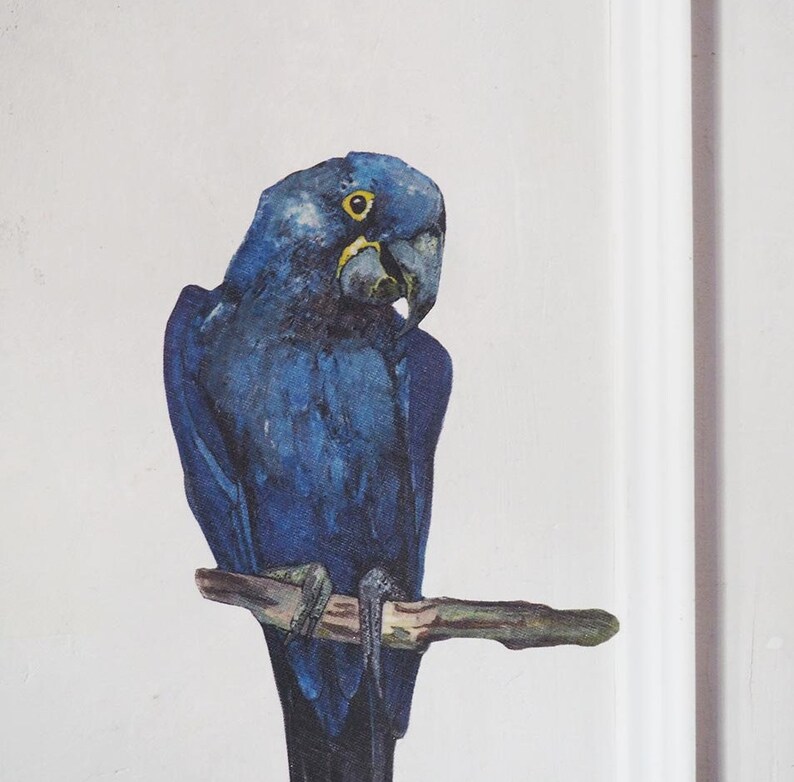 May include: A detailed illustration of a hyacinth macaw with deep blue feathers, a curved dark beak, and a bright yellow ring around its eye. The bird is perched on a brown wooden branch against a plain, light-colored background.