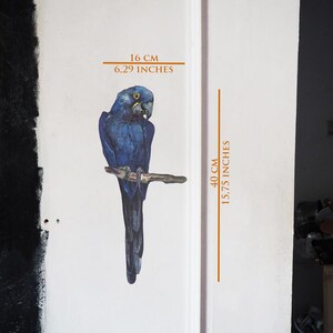 May include: A wall decal featuring a blue macaw perched on a branch. The text indicates a width of 16 cm or 6.29 inches and a height of 40 cm or 15.75 inches. The bird has dark blue feathers, a yellow eye ring, and a curved beak, shown on a white surface.