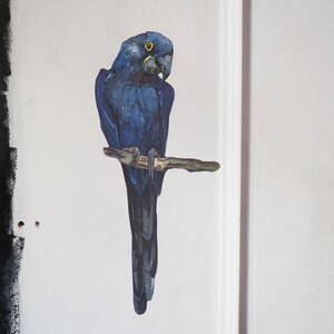 May include: A wall decal featuring a vibrant blue Hyacinth Macaw perched on a brown branch. The parrot has deep indigo feathers, a large curved beak, and a distinct yellow ring around its dark eye, depicted in a realistic artistic style.