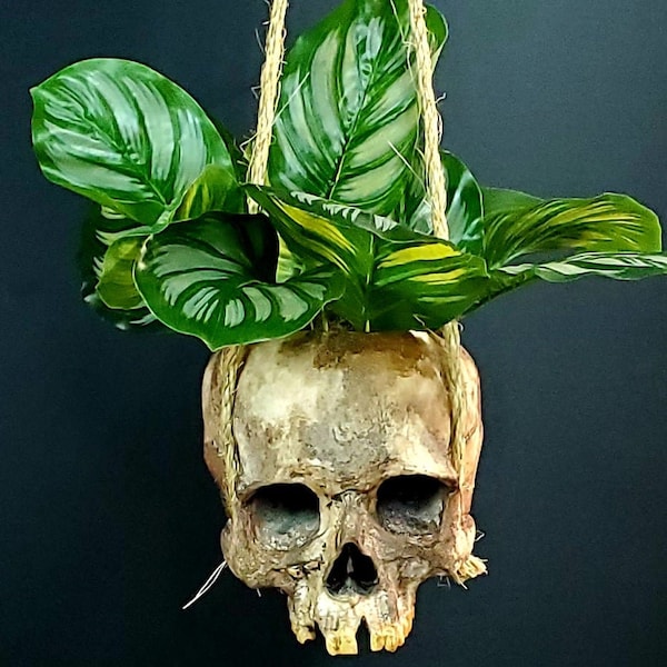 Skull hanging basket