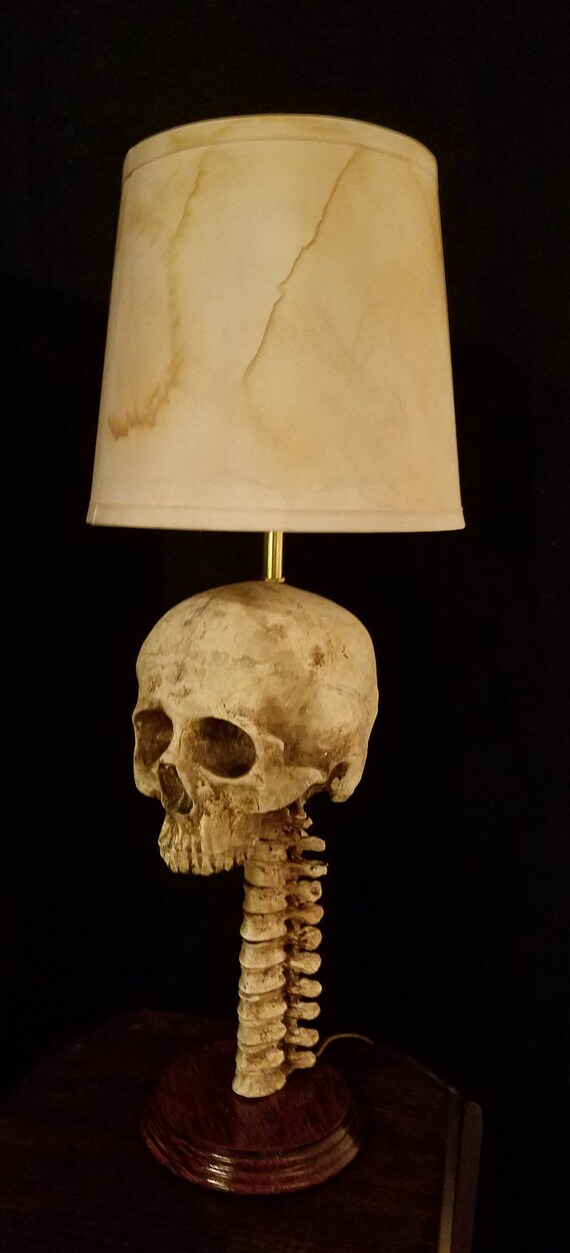 Skull Lamp W Spine And Shade