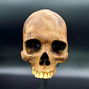 Aged resin human skull replica Free Domestic Shipping image 3