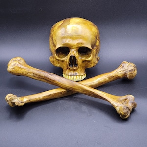 Jolly Roger bones ***Free Domestic Shipping ***