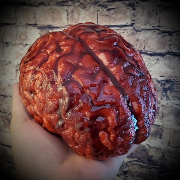 Life size human Brain ** FREE SHIPPING**