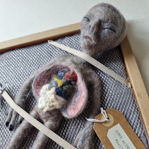 Op de afbeelding: Een grijs alienfiguur met zijn inwendige organen blootgelegd, gelegd op een grijs gaas oppervlak in een houten frame. Het alien is gelabeld "Grey Alien Autopsy Facility 5A".