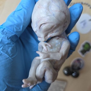 May include: A small, pale, extraterrestrial-like figurine with a large, smooth, bulbous head, closed eyes, and a slender, fetal-like body. The figure features subtle blue and pinkish skin tones, delicate limbs, and a curled posture held in a gloved hand.