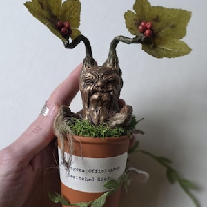 May include: A whimsical, handcrafted miniature tree sculpture in a terracotta pot. The tree has a detailed, aged face and leafy branches with red berries. The pot is labeled "agora Officinarum Bewitched Root."