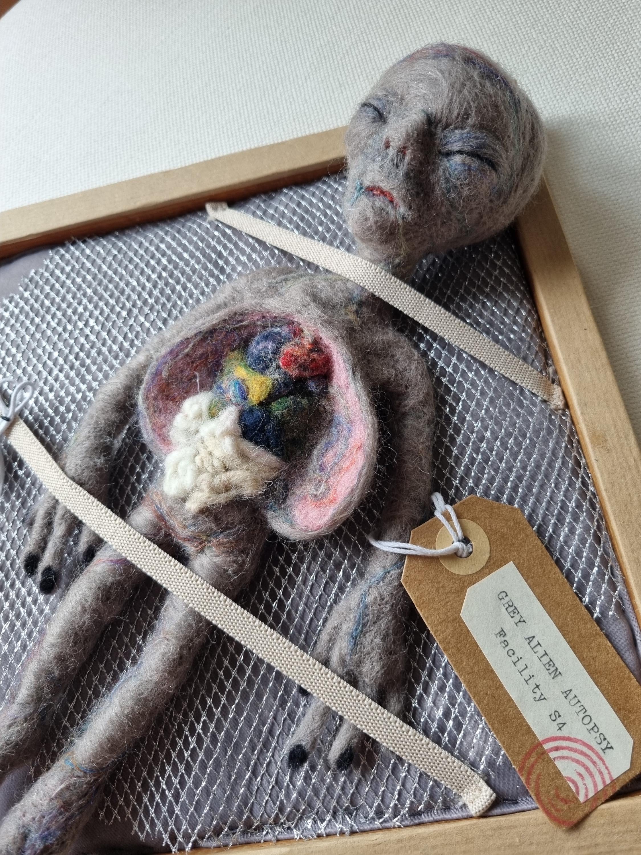 GREY ALIEN AUTOPSY, Needle Felted Alien Dissection Display