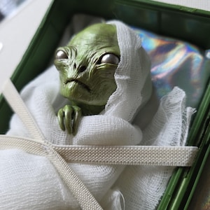 Feto alienígena verde en caja de plástico, rareza de Moonchild, regalo para bebé alienígena