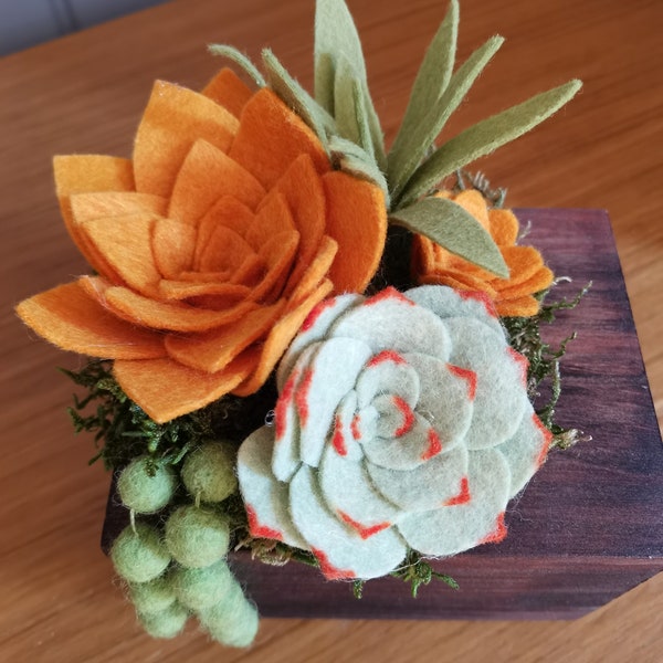 Composition de succulentes en feutrine