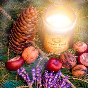 Forbidden Forest Candle | Bookish Candles |Old Bookshop Candle |Rare Candle | Soy Wax Scented Candle| Book Lovers Soy Candle | Bookish Gifts