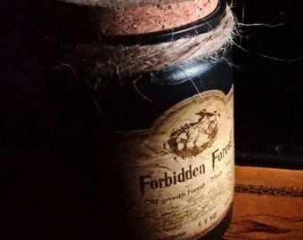 Forbidden Forest Candle | Bookish Candles |Old Bookshop Candle |Rare Candle | Soy Wax Scented Candle| Book Lovers Soy Candle | Bookish Gifts