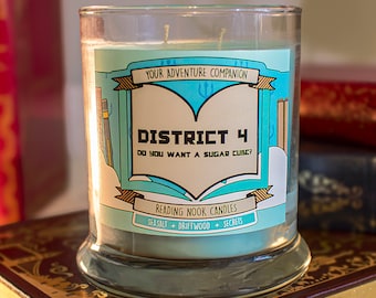 District 4 | Library and Reading Present | Book Candle Scent︱Book Inspired Candle︱Literary Candle︱Soy Candle︱Wax Melt︱Scented Candle