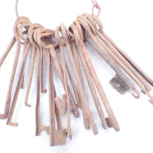 Antieke loperset Chateau Castle Gaol-hoofdsleutels 19e eeuw x 21 groot