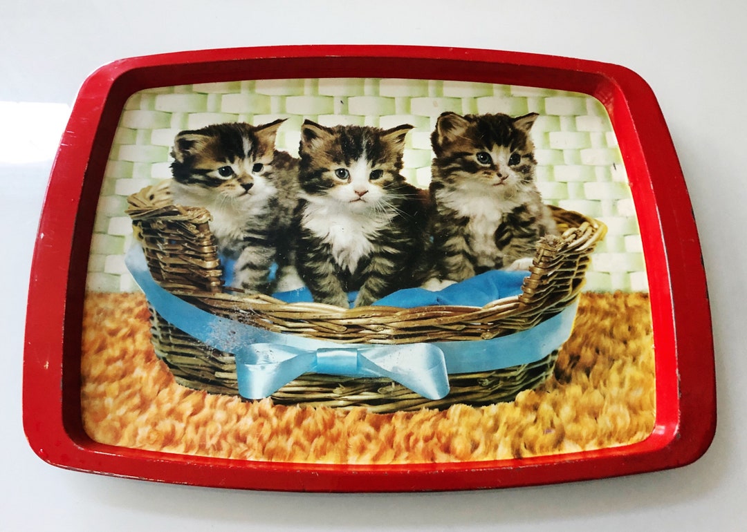 Cat Tray, Barware Serving Tray, Metal Beverage Tray, Cat Food Tray