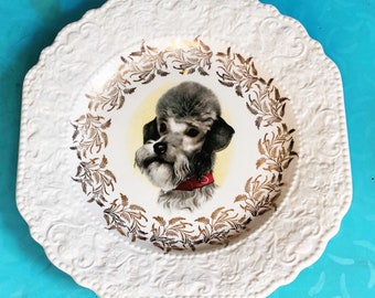 Poodle Plate, Canine Portrait, Lord Nelson Pottery, Gift for Poodle, Dog Dish, Dog Collector Plate, Gift for Dog Lover, Poodle Collectable