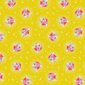 Planet様 Free Spirit Tula Pink - Chesire - PWTP164.WONDER - Etsy