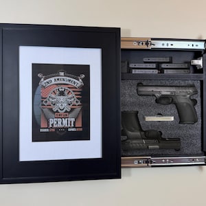 Gamo Pistolet à Plombs GP-20 CO2 Argenté | Chasse