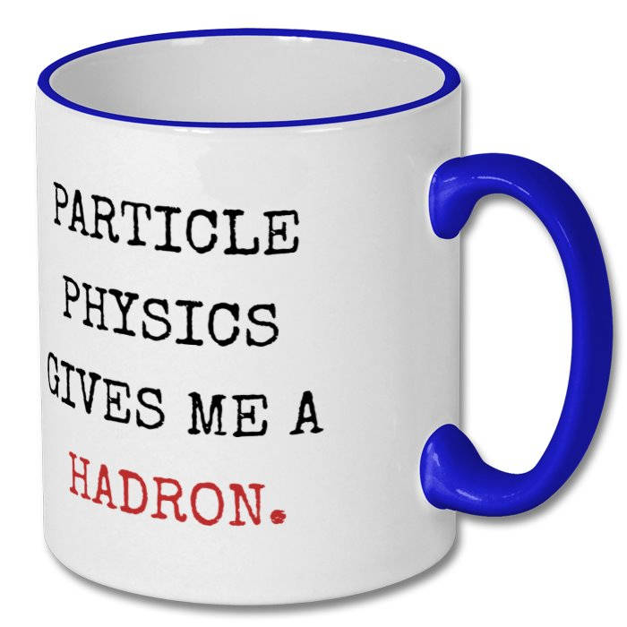 Physicist funny gift physicist mug physics student gift | Etsy