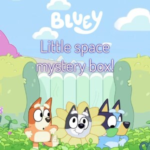 Bluey little space mystery box WITH adult pacifier!