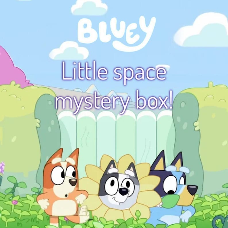 Bluey Little Space Mystery Box MET fopspeen voor volwassenen afbeelding 1
