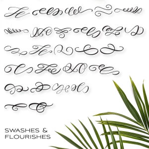 Kalligraphie Flourishes Dingbat Schriftart, Hochzeit Schriftart, Cricut Schriftarten, Silhouette Schriftarten, Schriftart für kommerzielle Nutzung, Schriftart für Procreate, SVG Schriftart,