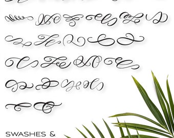 Calligraphy Flourishes Dingbat Font, Wedding Font, Cricut Fonts, Silhouette Fonts, Commercial use font, font for procreate, SVG Font,