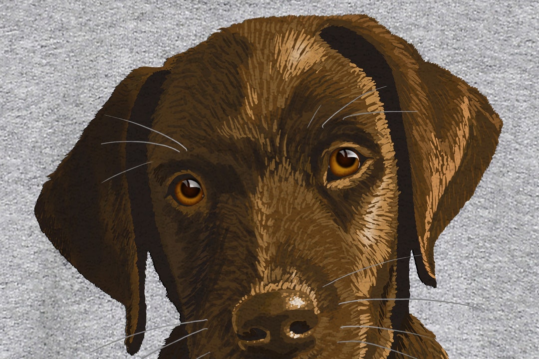 Labrador Lover Shirt Dog Lover Gift Black Lab Design Funny Dog Gift for