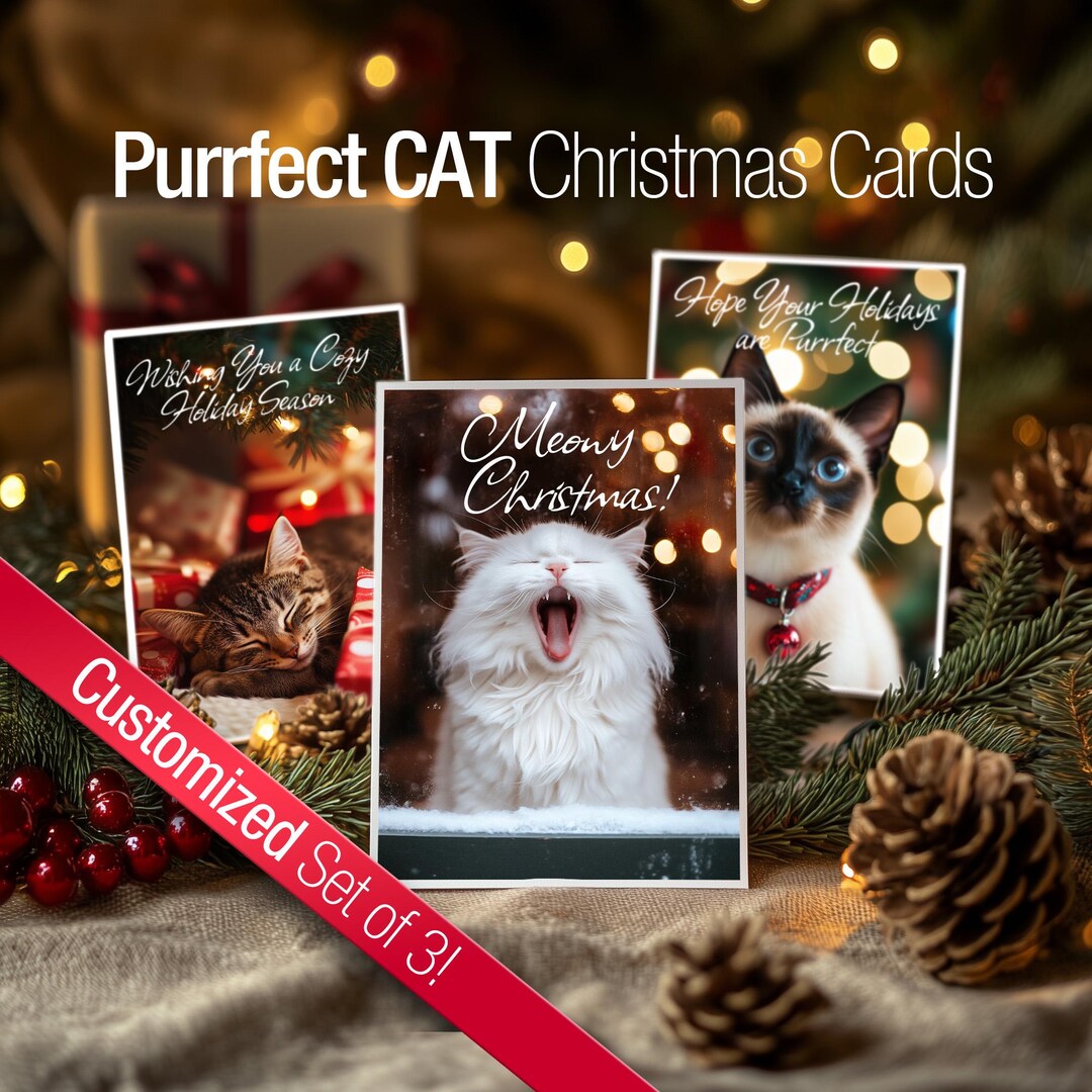 Funny Cat Christmas Gift Card Set of 3 Custom Holiday Greeting Feline ...
