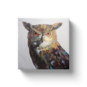 Aria The Owl Canvas Wraps