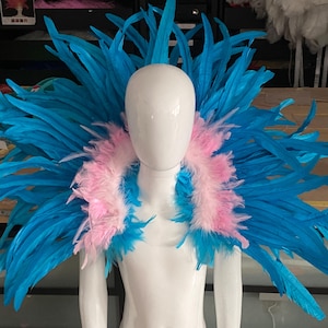 子供サイズのコスチューム、羽根飾り、テールバッスル、カーニバル、学校の演劇、ページェントの青とピンク