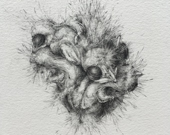 Bird Blob 1 / Graphite Drawing / Tiny Art