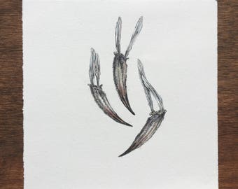 Crab dactyls / Drawing / Small artwork / Affordable Art