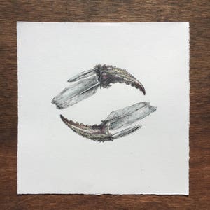 Crab Drawing / Watercolor / Original / Small artwork